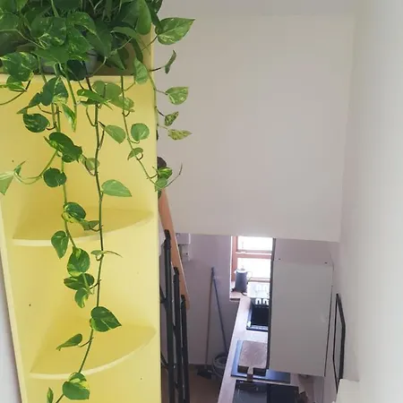 Duplex Chaleureux, Central, Proche Parking Gratuit