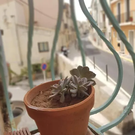 Duplex Chaleureux, Central, Proche Parking Gratuit Appartement Sète